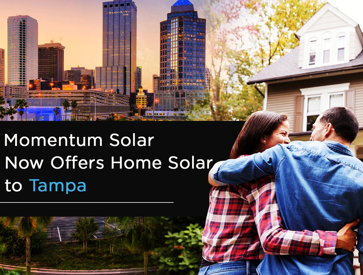 Momentum Solar Now Offers Home Solar to Tampa