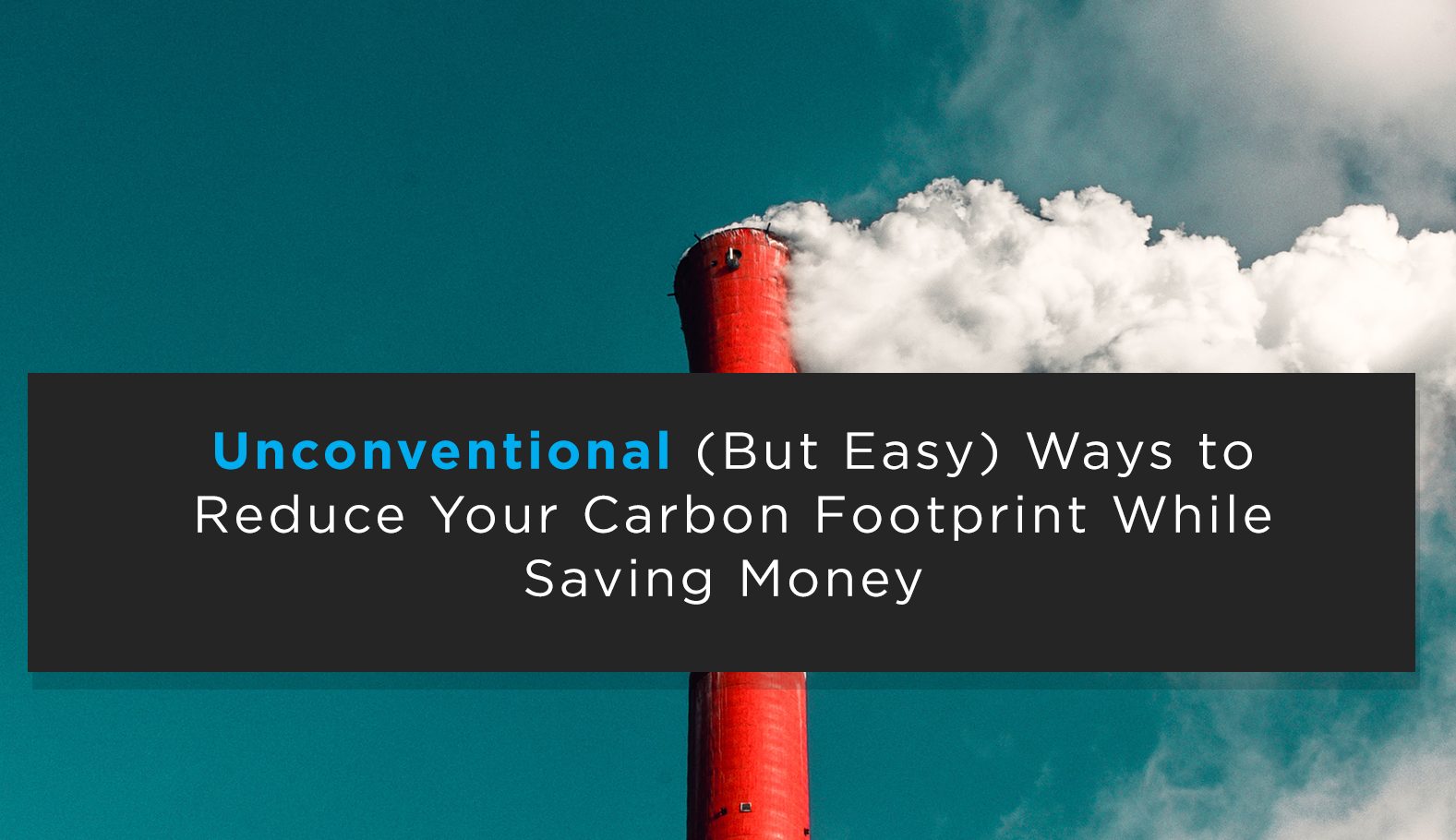 10 Unconventional (But Easy) Ways to Reduce Your Carbon Footprint While Saving Money
